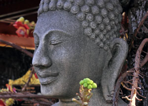 CAMBODIA, Phnom Penh, Royal Palace, complex, Buddha statue & Sal (Cannonball) flowers, CAM191JPL 4000 A 300