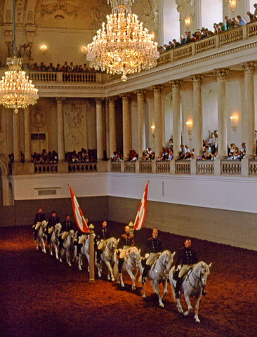 Austria, VIENNA, Spanish Riding School performance, VIE302JPL A 366