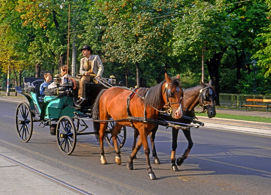 Austria, VIENNA, tourists on horse drawn cab ride, VIE309JPL A 560
