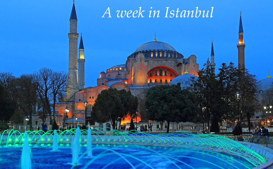 TURKEY, Istanbul, Hagia Sophia (Ayasofya mosque) basilica, fountain, night view, TUR847JPL A 1120 captioned