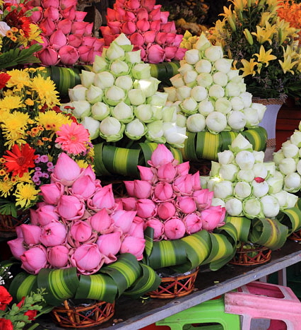 CAMBODIA, Phnom Penh, Phsar Thmey (Central Market), flower stall, Lotus flowers, CAM2114JPL 467 deep