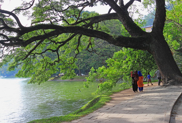 SRI LANKA, Kandy, Kandy Lake, lakeside walkway, SLK3618JPL