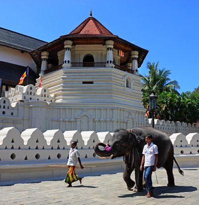 SRI LANKA, Kandy, Temple of the Tooth (Dalada Maligawa), and elephant, SLK2900JPL A 411 deep