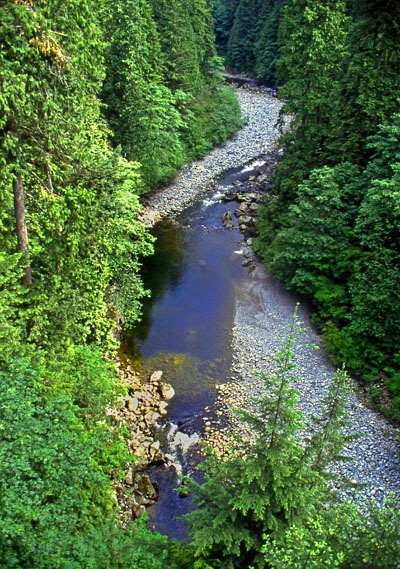 CANADA, British Columbia, VANCOUVER, Capilano River, view from Capilano Suspension Bridge, CAN675JPL A 400