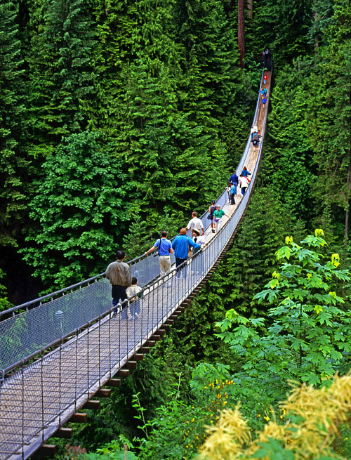 CANADA, British Columbia, VANCOUVER, Capilano Suspension Bridge, CAN944JPL A 500