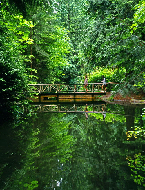 CANADA, British Columbia, VANCOUVER, Capilano Suspension Bridge Park, Nature Park, small bridge, CAN310JPL A 500