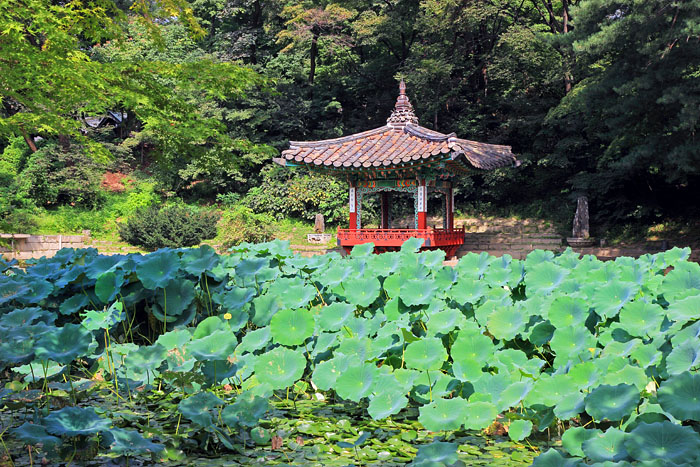 South Korea, SEOUL, Changdeokgung Palace, Secret Garden, Aeryeonji Pond & Uiduhap, SK164JPL A 700