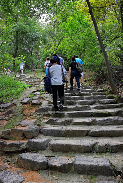 South Korea, SEOUL, Changdeokgung Palace, Secret Garden, walking paths, SK174JPL A 600 deep