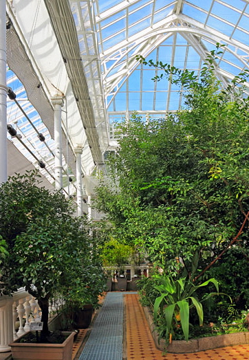 South Korea, SEOUL, Changgyeonggung Palace, The Grand Greenhouse, SK134JPL A 366