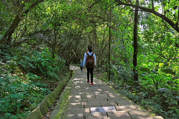 Taiwan, TAIPEI, Elephant Mountain, hiking trail, TAW431JPL A 750