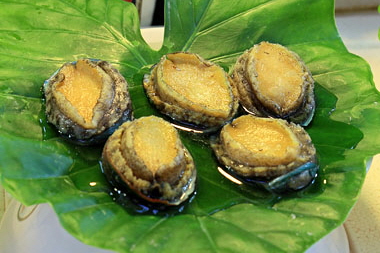Taiwan, TAIPEI, Shilin Night Market, Food Court, seafood display, Abalone, TAW1200JPL 4000 A 380