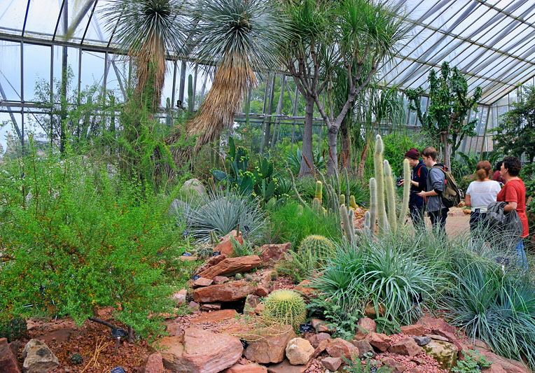 SCOTLAND, Edinburgh, Royal Botanic Garden, Glasshouses, Arid Lands House, SCO1184JPL 800