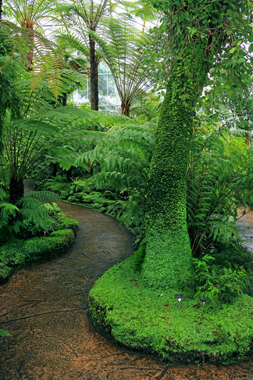 SCOTLAND, Edinburgh, Royal Botanic Garden, Glasshouses, SCO1214JPL 533 deep