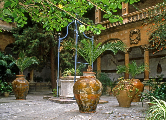 MALLORCA, Palma, Palma Cathedral, courtyard, large pottery and plants, MAL1239JPL A 700