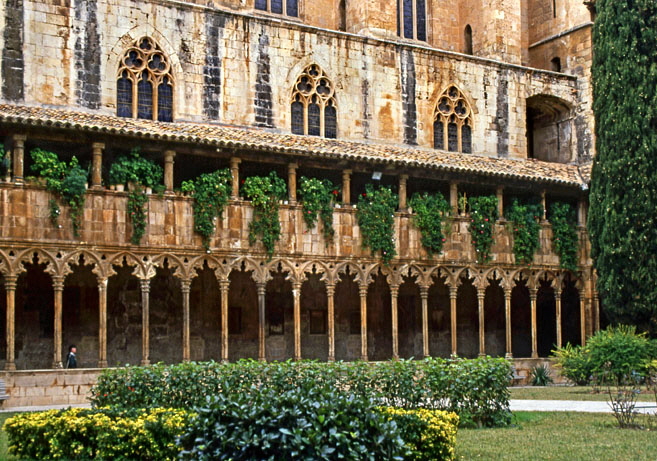 MALLORCA, Palma, San Francisco Convent, courtyard and cloisters, SPN1241JPL A 700