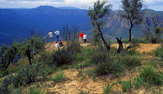 AUSTRALIA, New South Wales, Blue Mountains Nat Park, Jamison Valley, Evans Lookout, AUS701JPL A 602