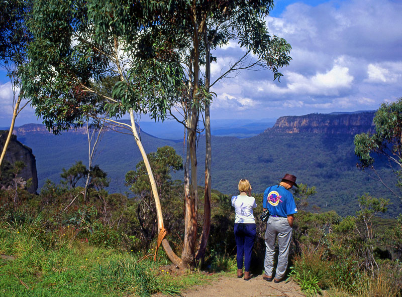 AUSTRALIA, New South Wales, Blue Mountains National Park, view near Katoomba, AUS189JPL A 800