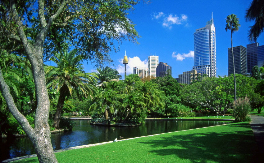 AUSTRALIA, New South Wales, SYDNEY, Royal Botanical Gardens and Sydney skyline, AUS667JPL A 850