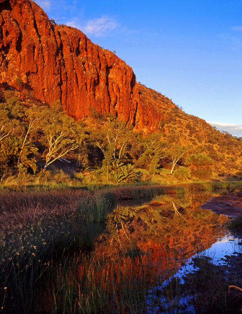 AUSTRALIA, Northern Territory, West MacDonnell Nat Park, AUS273JPL A 630