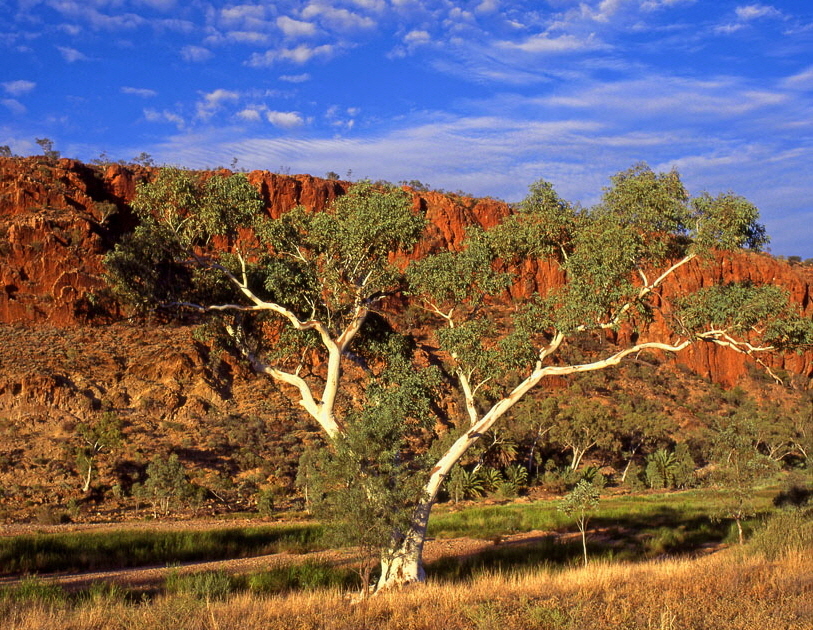 AUSTRALIA, Northern Territory, West MacDonnell Nat Park, scenery, AUS276JPL A 910