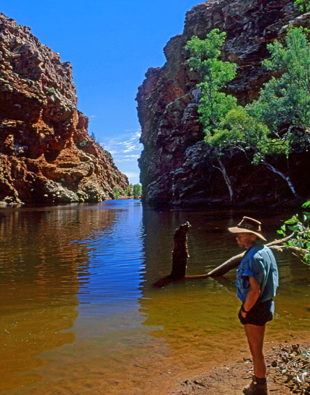 AUSTRALIA, Northern Territory, West MacDonnell National Park, Ellery Creek Big Hole, waterhole, AUS259JPL A 600 deep