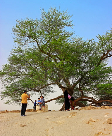 BAHRAIN, Tree Of Life, BHR1828JPL A 383