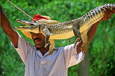 CUBA, Guama, man demonstrating traditional method of trapping crocodile, CUB151JPL 265 deep