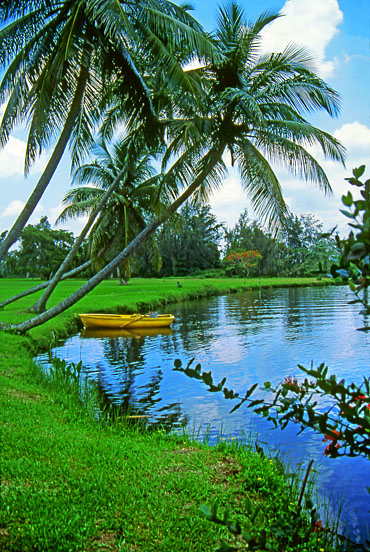 CUBA, Guama, traditional Indian Village site, lake and boat, CUB270JPL 370