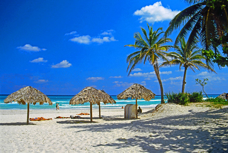 CUBA, Varadero, beach, thatched sunshades and coconut trees, CUB314JPL 750