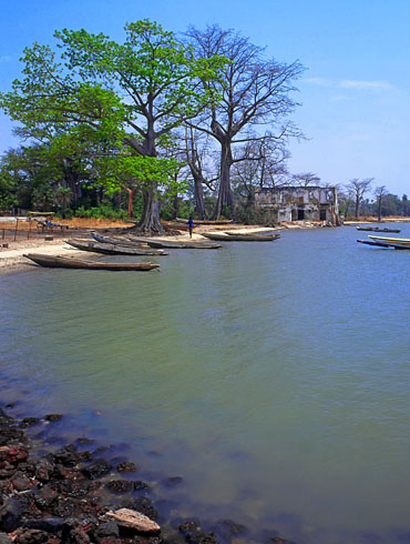 GAMBIA, Abreda village, River Gambia and ruins of French Trading Post, GAM882JPL A 370