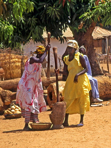 GAMBIA, Juffureh Village (of 'Roots' fame), women punding grain, GAM985JPL A 370