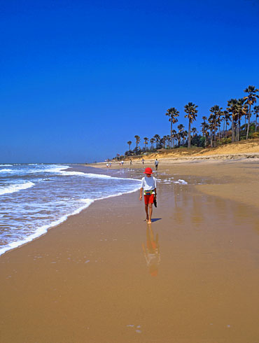 GAMBIA, Kotu Beach, boy walking along beach, GAM820JPL A 370