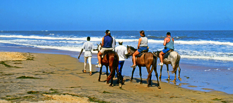 GAMBIA, Kotu Beach, tourists horse riding, GAM842JPL 6000 A 800