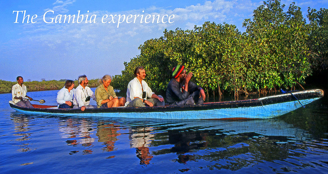GAMBIA, River Gambia, tourists in dug out canoe (pirogue) on bird watching tour, GAM935JPL A 1120 captioned