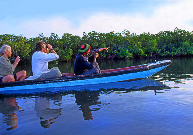 GAMBIA, River Gambia, tourists in dug out canoe (pirogue) on bird watching tour, GAM940JPL A 650
