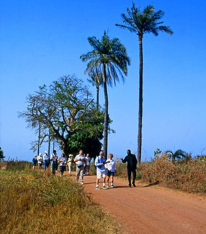 GAMBIA, tourists on a walking and nature tour, GAM948JPL A 415