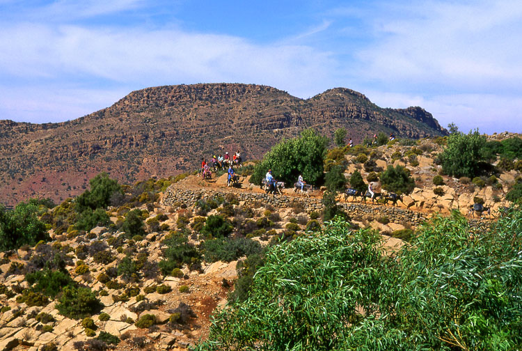 MOROCCO, Atlas Mountains, Imouzzer, mule trekking, MOR52JPL A 750