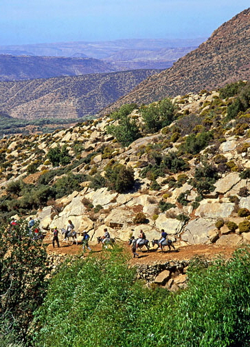 MOROCCO, Atlas Mountains, Imouzzer, tourists Mule Trekking, MOR395JPL 6000 A 504 deep