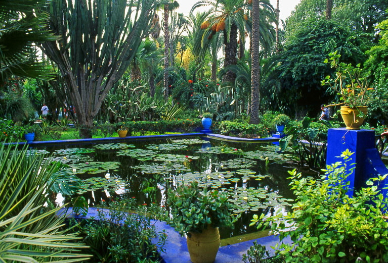 MOROCCO, Marrakesh, Majorelle Gardens (of Yves  St Laurent), MOR125JPL A 800
