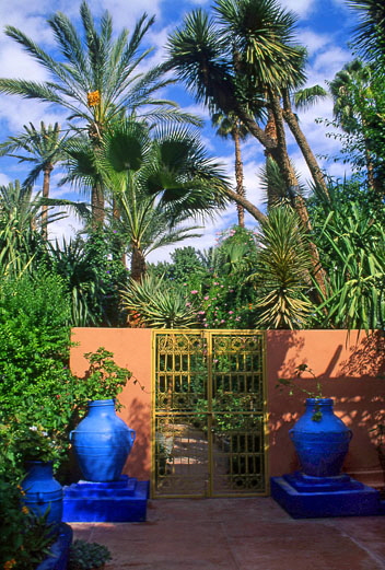 MOROCCO, Marrakesh, Majorelle Gardens (of Yves St Laurent), MOR127JPL A 521 deep