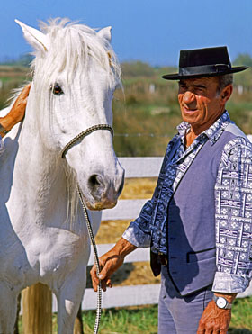 FRANCE, Languedoc-Roussillon, Camargue, 'cowboy' with wild white horse, FRA421JPLA 280