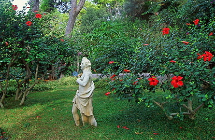 ITALY, Campania, Amalfi Coast, CAPRI, Augusto Gardens, ITL1121JPL  300 deep