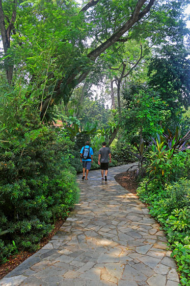SINGAPORE, Botanic Gardens, SIN1004JPL A 373