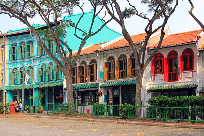 SINGAPORE, Chinatown, Duxton Hill, traditional shop-houses, SIN848JPL A 700