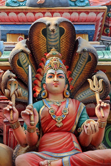 SINGAPORE, Chinatown, Sri Mariamman Temple, statues of deities, SIN765JPL A 560 deep