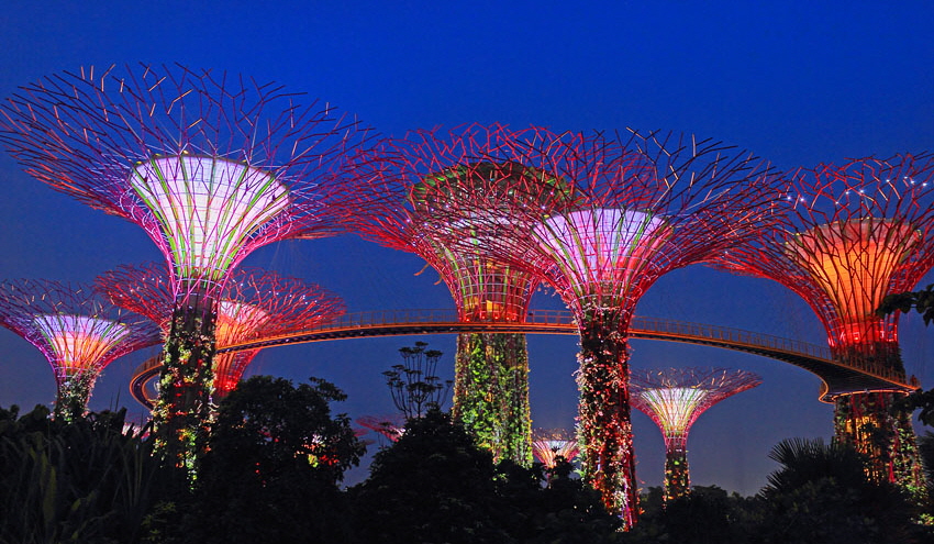 SINGAPORE, Gardens by the Bay, Supertree Grove, illuminations, SIN480JPL A 850