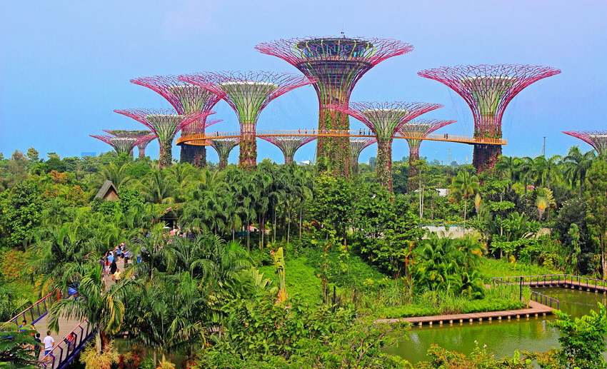 SINGAPORE, Gardens by the Bay, and Supertree Grove, SIN477JPL A 850