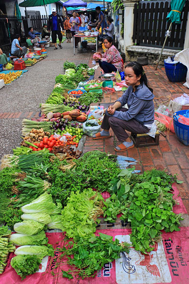 LAOS, Luang Prabang, Morning Market, LAO344JPL 370