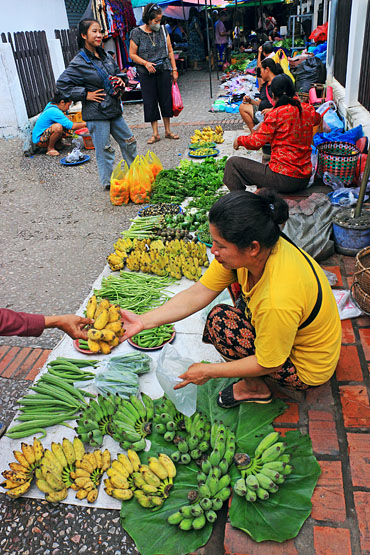 LAOS, Luang Prabang, Morning Market, LAO346JPL 370
