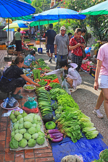LAOS, Luang Prabang, Morning Market, LAO371JPL 370